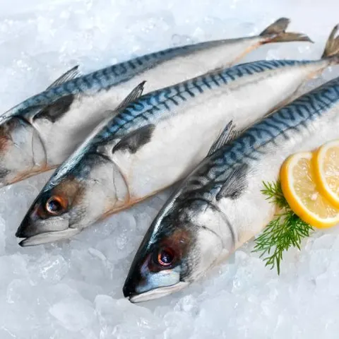Peixes frescos no gelo com limão
