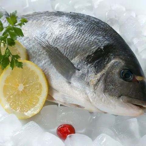 Peixe inteiro no gelo com limão e salsa